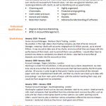 account manager manager cv example