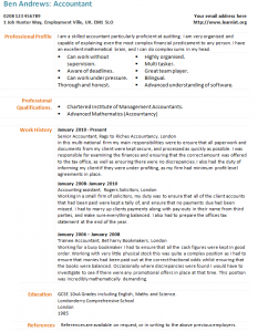 accountant cv example