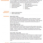 bank manager cv example