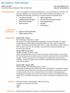 bank manager cv example