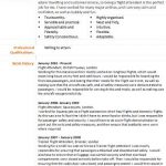 flight attendant cv example