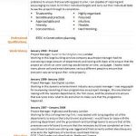 project manager cv example