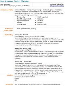 project manager cv example