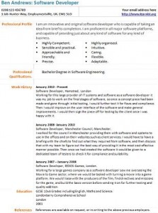 software developer cv example