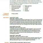 Estate Agent cv example