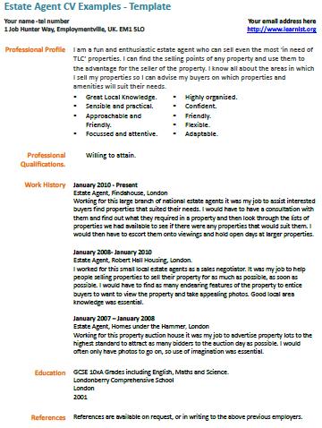 Professional Cv Template Uk