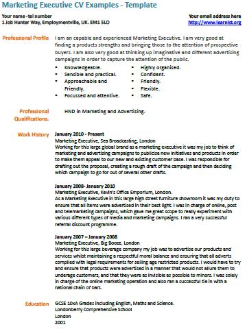 Marketing Executive cv example