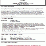 IT Support Technician CV Example