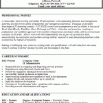 it administrator cv example