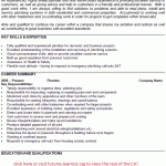 plumber cv example