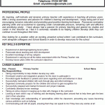 primary teacher cv example