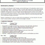 retail manager cv example