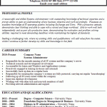 systems administrator cv example
