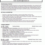 teaching assistant cv example