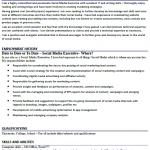 Social Media Executive cv example