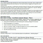 social media community manager cv example