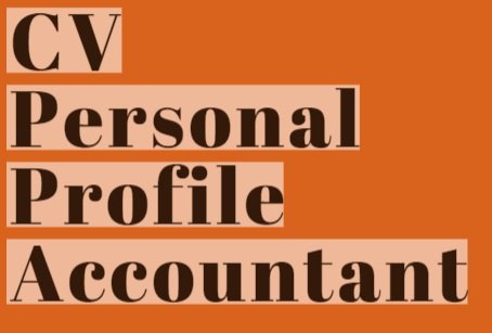 CV Personal Profile Example for Accountant